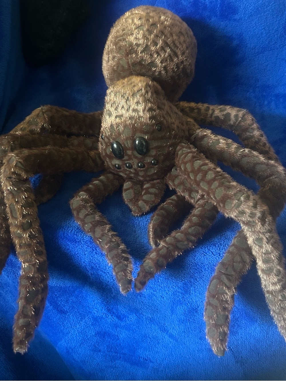 Universal Studios Wizarding World of Harry Potter Aragog Spider Plush.